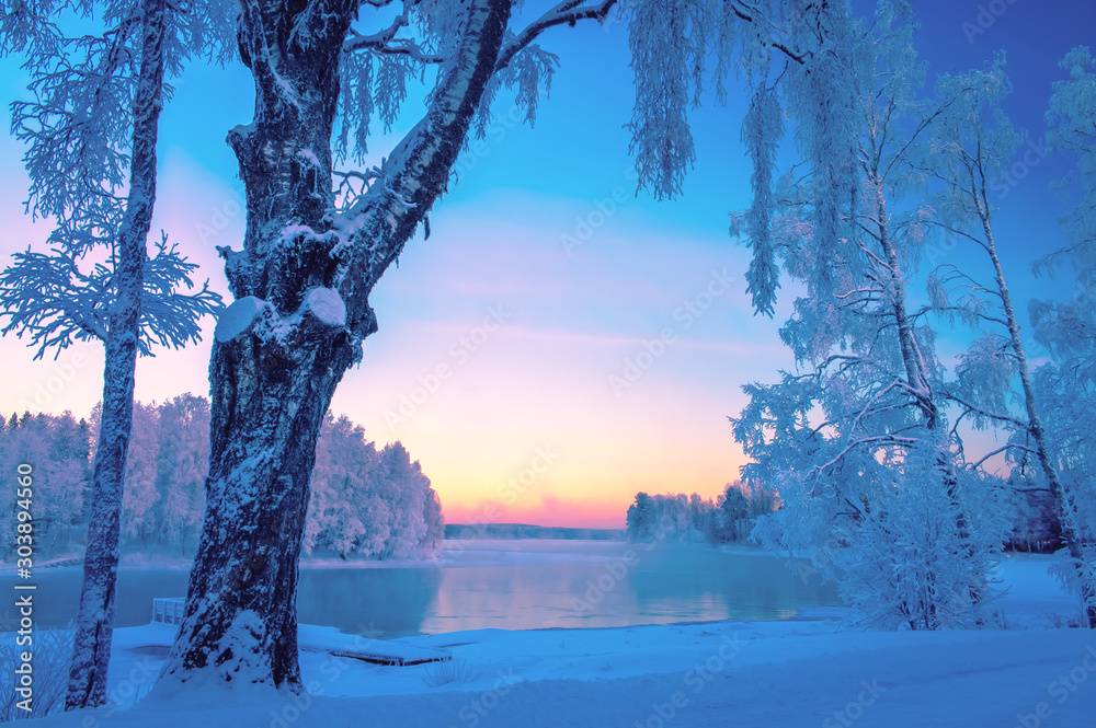 Cold winter day landscape with snowy trees. Photo from Kuhmo, Finland. Heavy snow view. - obrazy, fototapety, plakaty 