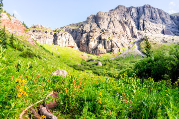 Alpine rocky meadow with rocks and yellow and red paintbrush wildflowers on trail to Ice lake near Silverton, Colorado on summit in August 2019 summer