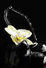 Pebbles And White Yellow Flower On Black Background. Spa Stones And Orchid With Water Splash