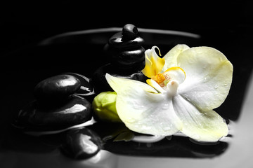 Wall Mural - Pebbles and white yellow flower on black background. Spa stones and orchid in water