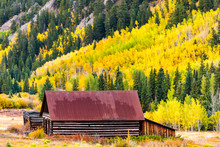 Castle Creek Road Wooden House Cabin Building In Ashcroft Ghost Town With Yellow Foliage Aspen Trees In Colorado Rocky Mountains Autumn Fall