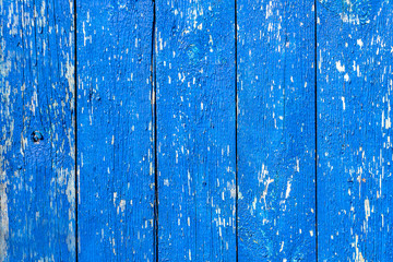 Wall Mural - background wooden old fence made of boards, blue, shabby paint, aged texture