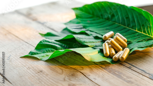 Fototapeta na drzwi i meble kapsułka na liściu kratomu (Mitragyna speciosa) Mitaginina na drewnie, Narkotyki i Narkotyki, tajskie ziołowe, które poprawiają zdrowie