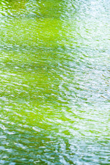 ripple green water texture with reflections of the trees. River surface background texture pattern