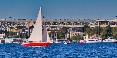 Wall Mural - 2019-08-09 RED SAIL BOAT ON SOUTH LAKE UNION