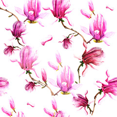 Canvas Print - magnolia branch, pattern,beautiful pink  flowers, flowers isolated on a white background, vintage