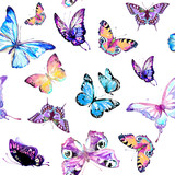 Fototapeta Motyle - pattern beautiful color butterflies set