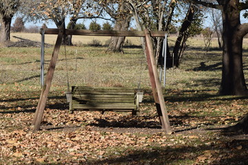 Wall Mural - Lawn Swing