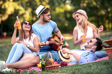 Poster - Happy young friends having picnic in the park