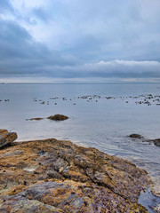 Wall Mural - Rocky coastal shoreline of Friday Harbor in San Juan Island, WA, on an overcast day