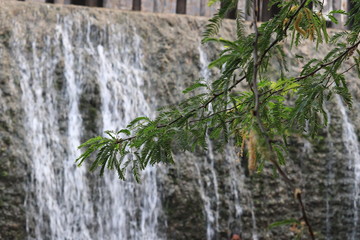 waterfall in forest