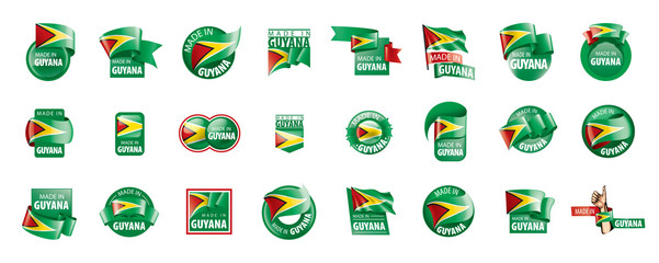 Guyana flag, vector illustration on a white background