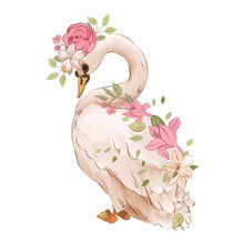 Beautiful Hand Drawn Watercolor Dreaming Swan With Rose Flowers, Floral Bouquet