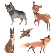 Woodland Animals Digital Art Free Stock Photo - Public Domain Pictures