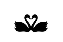 Two swans with heart silhouette icon. Clipart image isolated on white background