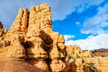 Wall Mural - Rock formations at Red Canyon in Utah, the USA