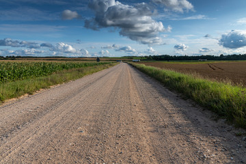 Wall Mural - Gravel road in countryside of Latvia.