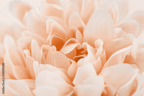 Fotomural Sweet color flower made and blur style for background