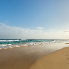 Wall Mural - Wide golden beach