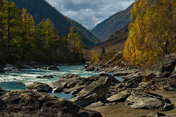 Wall Mural - Russia. The South Of Western Siberia. Late autumn in the Altai mountains,  the Chui river