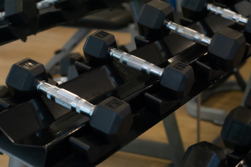 Rows of dumbbells in the gym