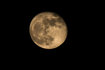 Wall Mural - full moon in the sky