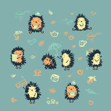 Set Of Cute Hedgehog.Wild Forest Animals In  Hand Drawn Style