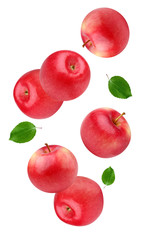 Wall Mural - falling red apples isolated on white background.