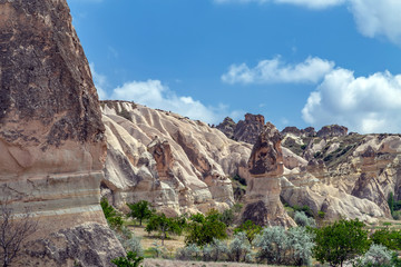 Wall Mural - Rose Valle Goreme spectacularly Cappadocia landscape, Turkey.