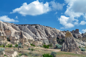 Wall Mural - Rose Valle Goreme spectacularly Cappadocia landscape, Turkey.