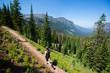 © Tandem Stock - A woman running on Hyalite Trail (#427) overlooking Hyalite Canyon in summer.