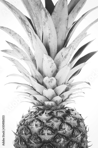 Foto-Schmutzfangmatte - Trendy home interior decoration canvas - single ripe and whole pineapple isolated on a white background (black and white vintage effect) (von WDnet Studio)