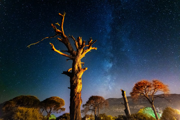 Wall Mural - starry night with the Milky Way on the Turkish Mediterranean coast amidst the rocky mountains with tourists in a yellow tent