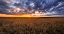 Sunset Over Wheat Field