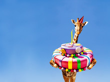 Giraffe With Birthday Cake And Cap On Blue Sky