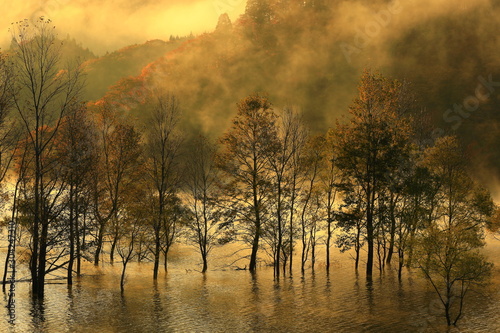 岩手県西和賀町 紅葉の錦秋湖 Buy This Stock Photo And Explore Similar Images At Adobe Stock Adobe Stock 岩手県西和賀町 紅葉の錦秋湖 Buy This Stock Photo And Explore Similar Images At Adobe Stock Adobe Stock
