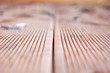 terrace siberian larch planks selective focus