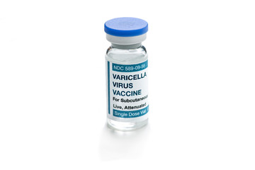 Wall Mural - Varicella Virus Vaccine