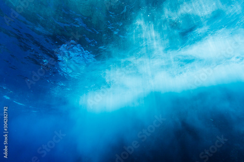 100 Epic Bestおしゃれ 水中 壁紙 最高の花の画像