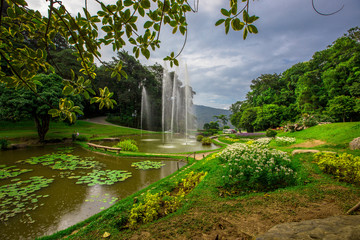 The blurred background of water droplets from the waterfalls that cover the area around the walkway, surrounded by large trees and fresh cool air while visiting the scenery.