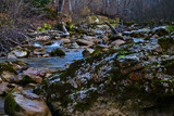 Fototapeta Desenie - Clean mountain river in the autumn forest.