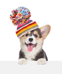 Leinwandbilder - Corgi puppy  wearing a warm hat looks above empty white banner. isolated on white background