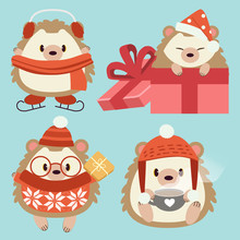 The Character Of Cute Hedgehog Wear A Accessory In Christmas Theme. The Cute Hedgehog Wear Glasses And  Winter Hat And Scarf And Sweater And Holding A Tea Cup And Giftbox On White Background And Snow.