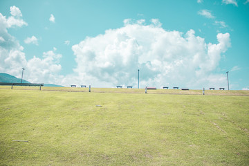 Sunny hillside