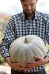 big pumpkin in the hands. Bearded man holding a pumpkin