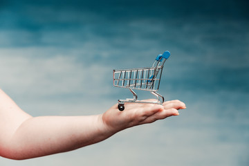 Reduced shopping cart for products on a female hand on a blue background.