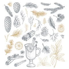 Wall Mural - hand drawn set with christmas elements, pine cones and branches. vector illustrations