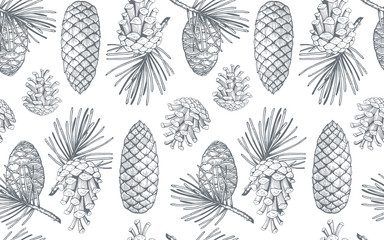 Wall Mural - hand drawn seamless pattern with pine cones and branches. vector