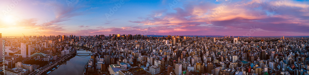  Panorama of central of Tokyo at dawn, Japan - obrazy, fototapety, plakaty 