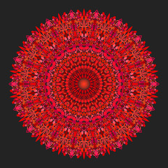 Poster - Floral mandala - abstract circular vector graphic design